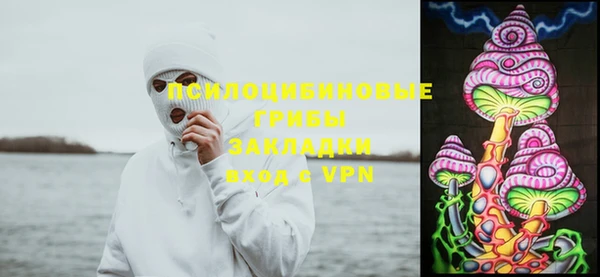 mdpv Богданович