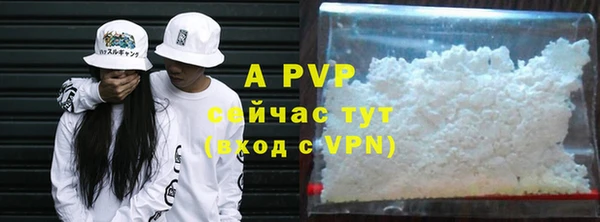 mdpv Богданович