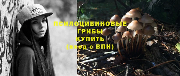 mdpv Богданович